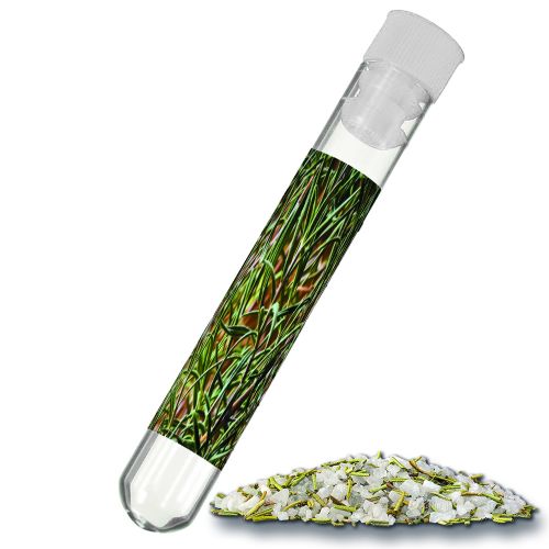 Rosemary salt, ca. 8g, test tube with label