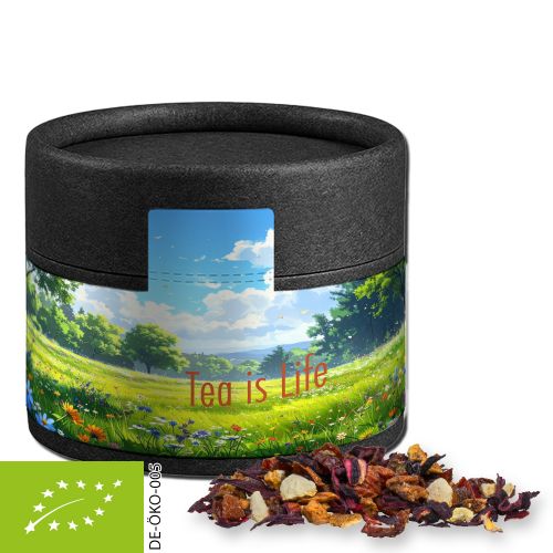 Organic fruit tea good mood, ca. 18g, cardboard can mini black